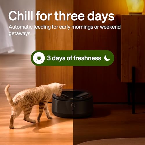 Refrigerated Automatic Cat Feeder with Stainless Steel Bowl