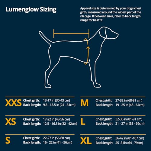 High Visibility Reflective Dog Vest with Water Resistant Shell