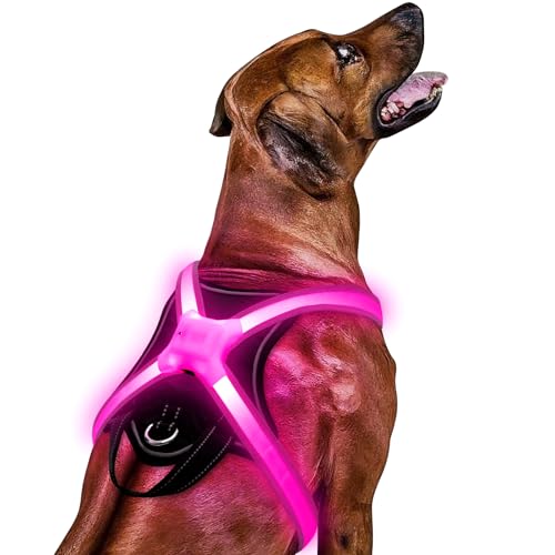 Light Up Dog Harness Led Dog Harness