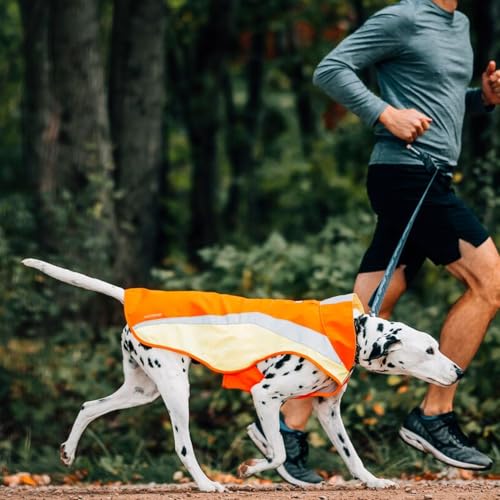 High Visibility Reflective Dog Vest with Water Resistant Shell