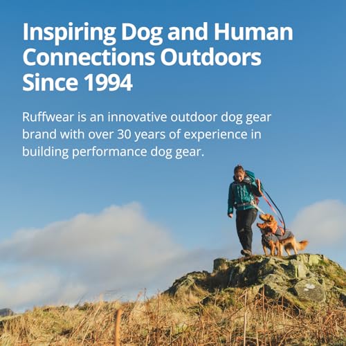 High Visibility Reflective Dog Vest with Water Resistant Shell