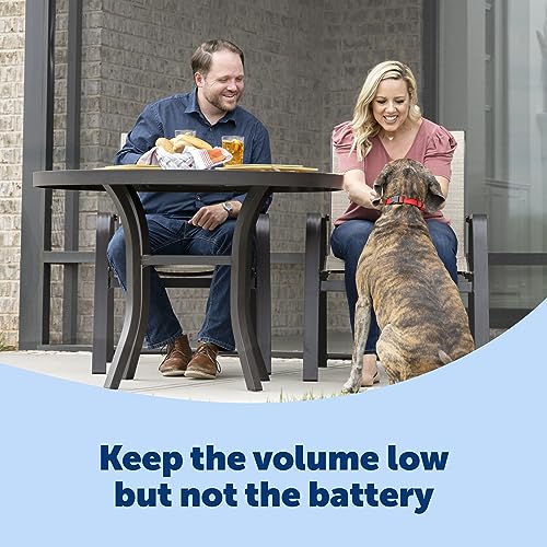PetSafe Basic Bark Control Collar