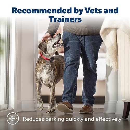 PetSafe Basic Bark Control Collar