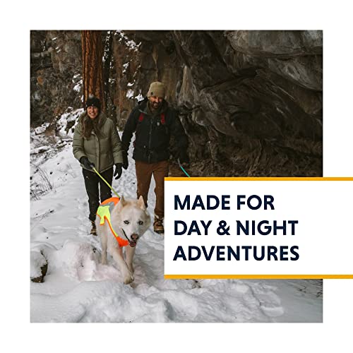 High Visibility Reflective Dog Vest with Water Resistant Shell