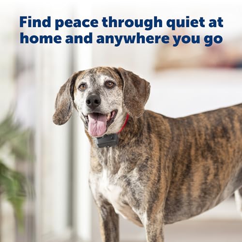PetSafe Basic Bark Control Collar