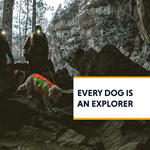 High Visibility Reflective Dog Vest with Water Resistant Shell