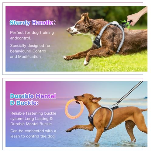 Light Up Dog Harness Led Dog Harness
