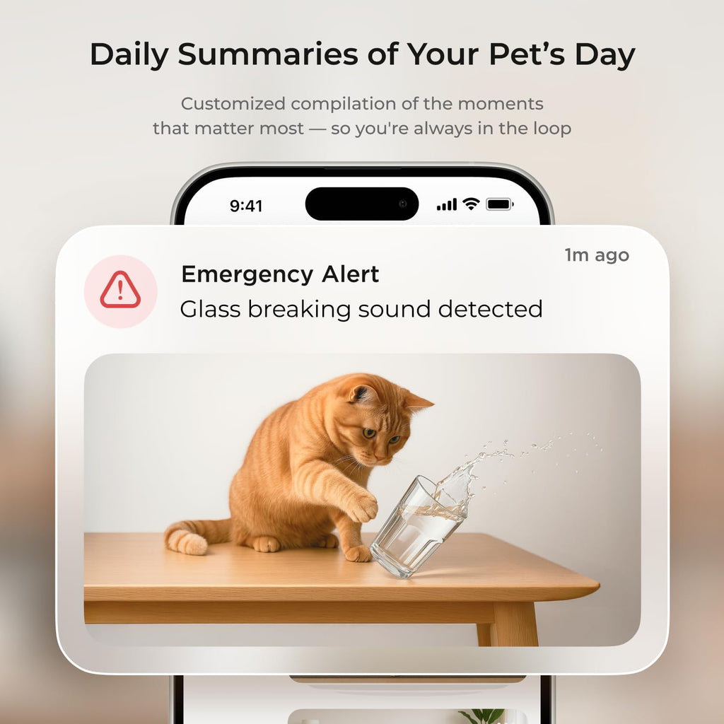 Petcube Security Camera