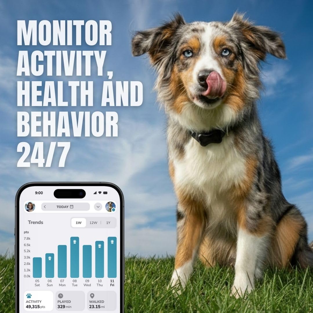 Waterproof Dog Activity Monitor with Health and Fitness Tracking