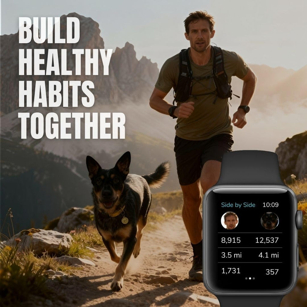 Waterproof Dog Activity Monitor with Health and Fitness Tracking