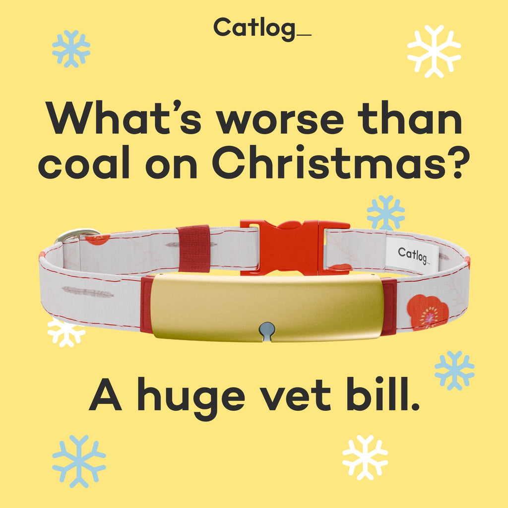 Catlog Replacement Belt