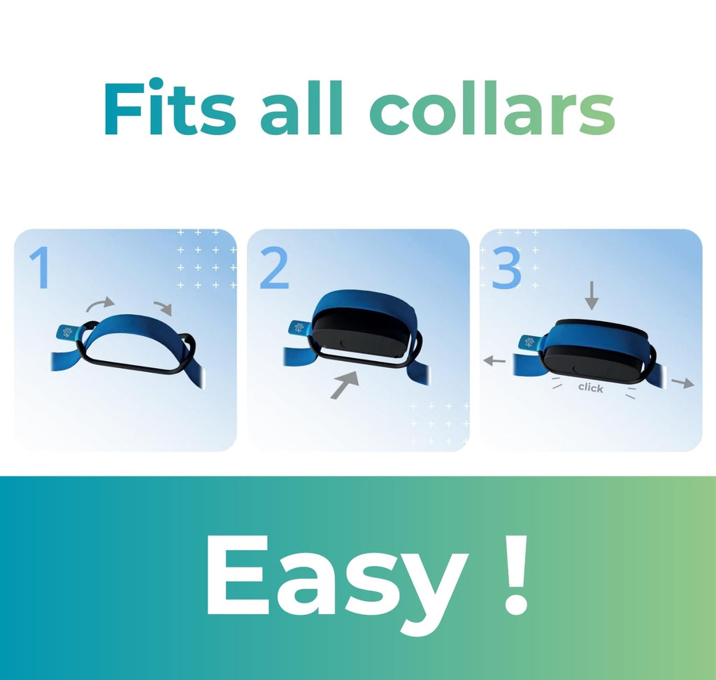 Smart Dog Health and GPS Tracker with Wellness Monitoring