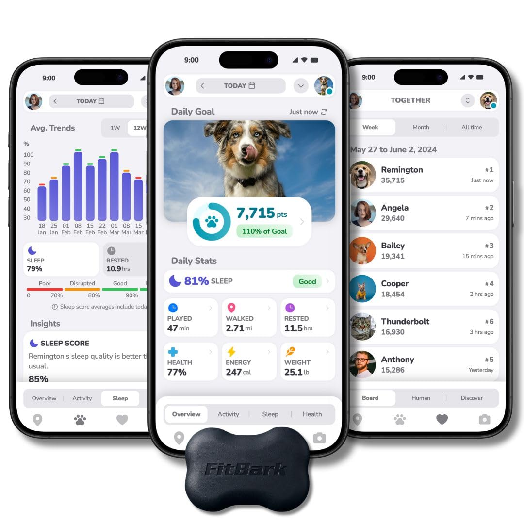 Waterproof Dog Activity Monitor with Health and Fitness Tracking