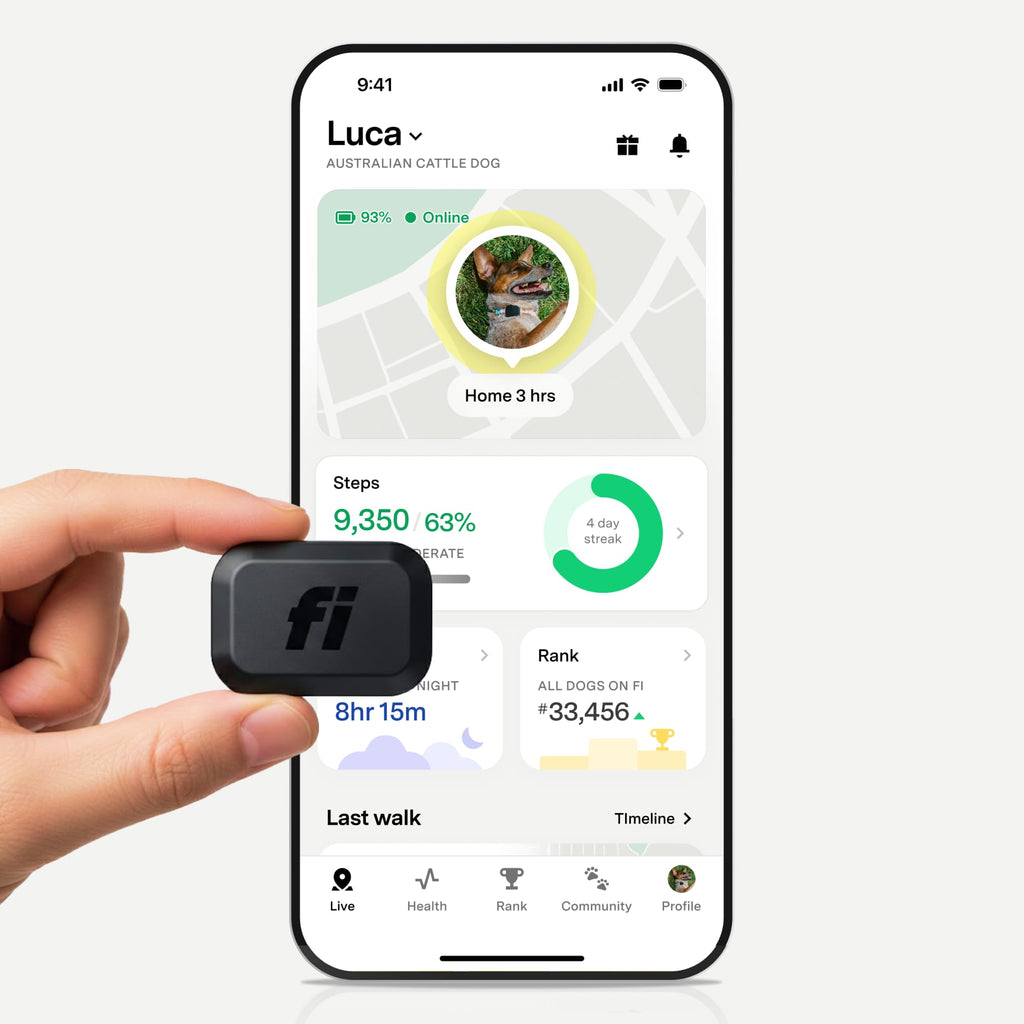 Fi Mini GPS Tracker for Dogs — Smart Pet Tracking Collar Attachment — Lightweight, Virtual Fences, Escape Alerts, Step & Health, Waterproof