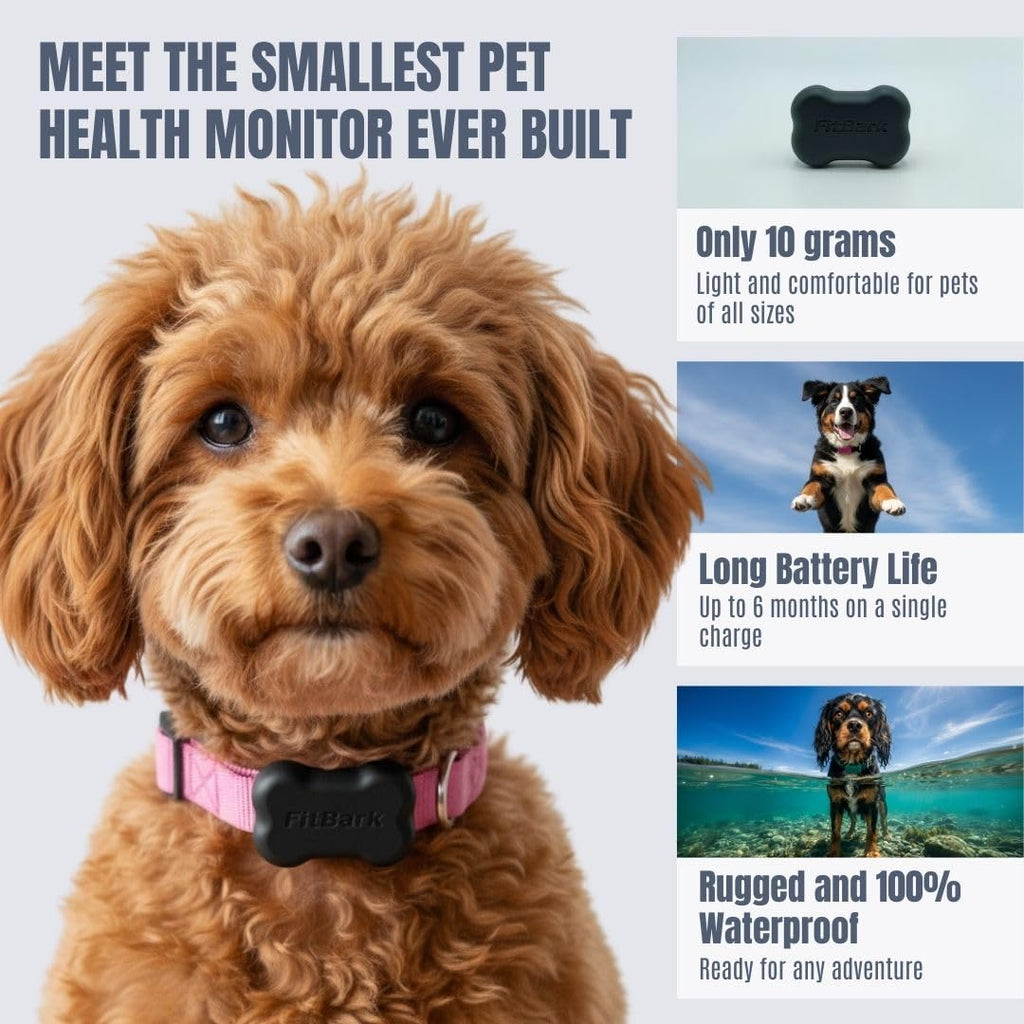 Waterproof Dog Activity Monitor with Health and Fitness Tracking