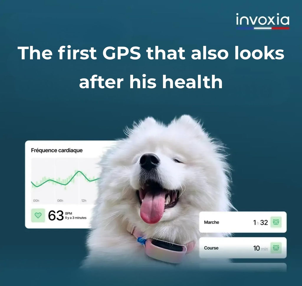 Smart Dog Health and GPS Tracker with Wellness Monitoring