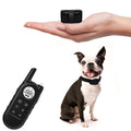 Compact Waterproof Dog Training Collar with Remote Control
