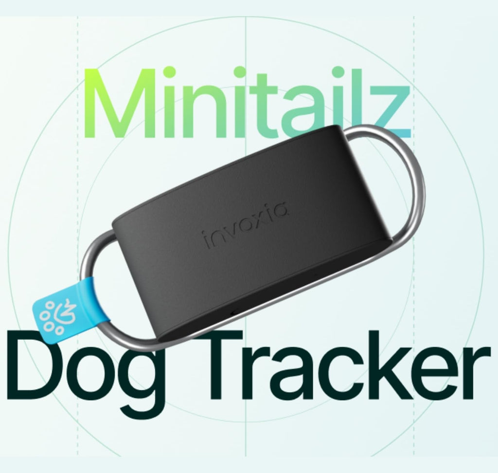 Smart Dog Health and GPS Tracker with Wellness Monitoring