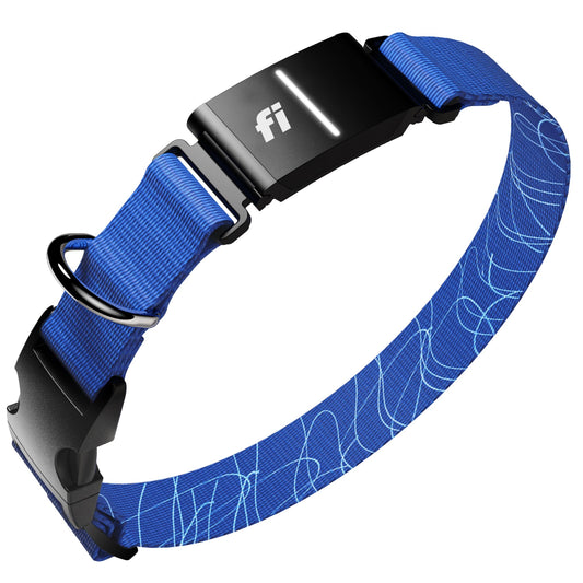 Smart GPS Dog Tracker Collar with Health and Behavior Monitoring