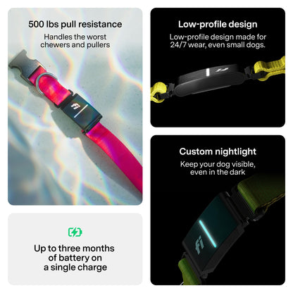 Smart GPS Dog Tracker Collar with Health and Behavior Monitoring