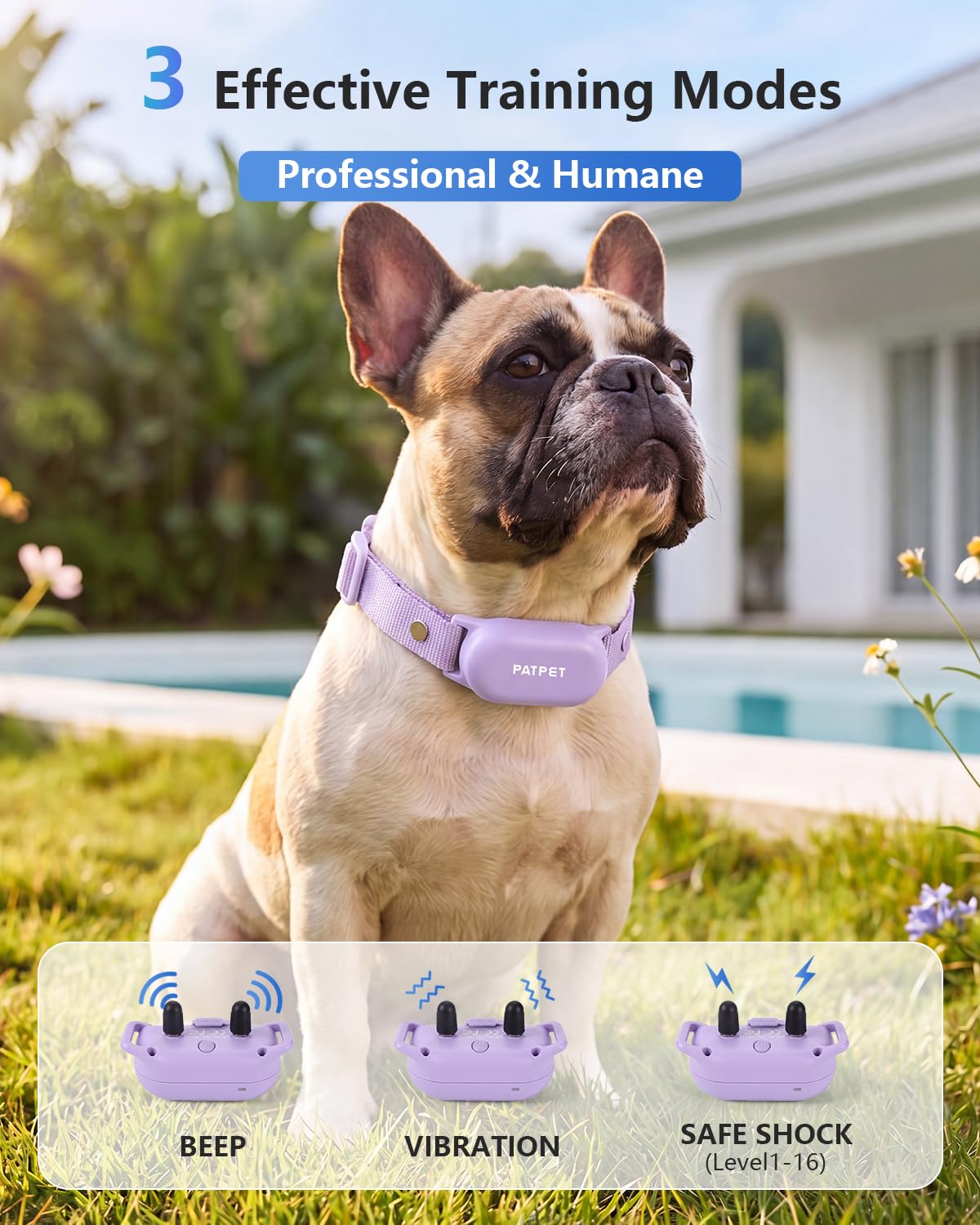 PATPET Shock Collar for 2 Dogs, 4000ft IPX7 Waterproof for 10-120lbs Dogs