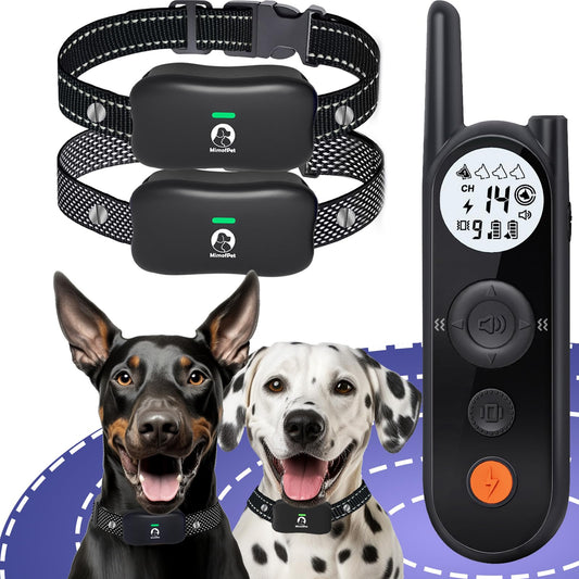 Wireless Dog Fence with Training Collar and Remote Control System