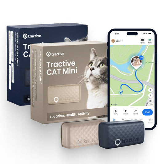 Smart GPS Pet Tracker with Real-Time Location Monitoring