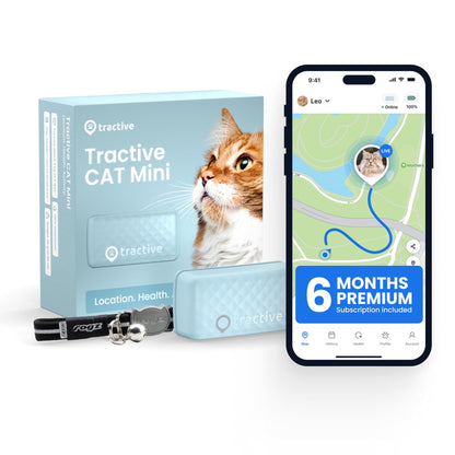 Smart Cat GPS Tracker with Real-Time Location and Wellness Monitoring