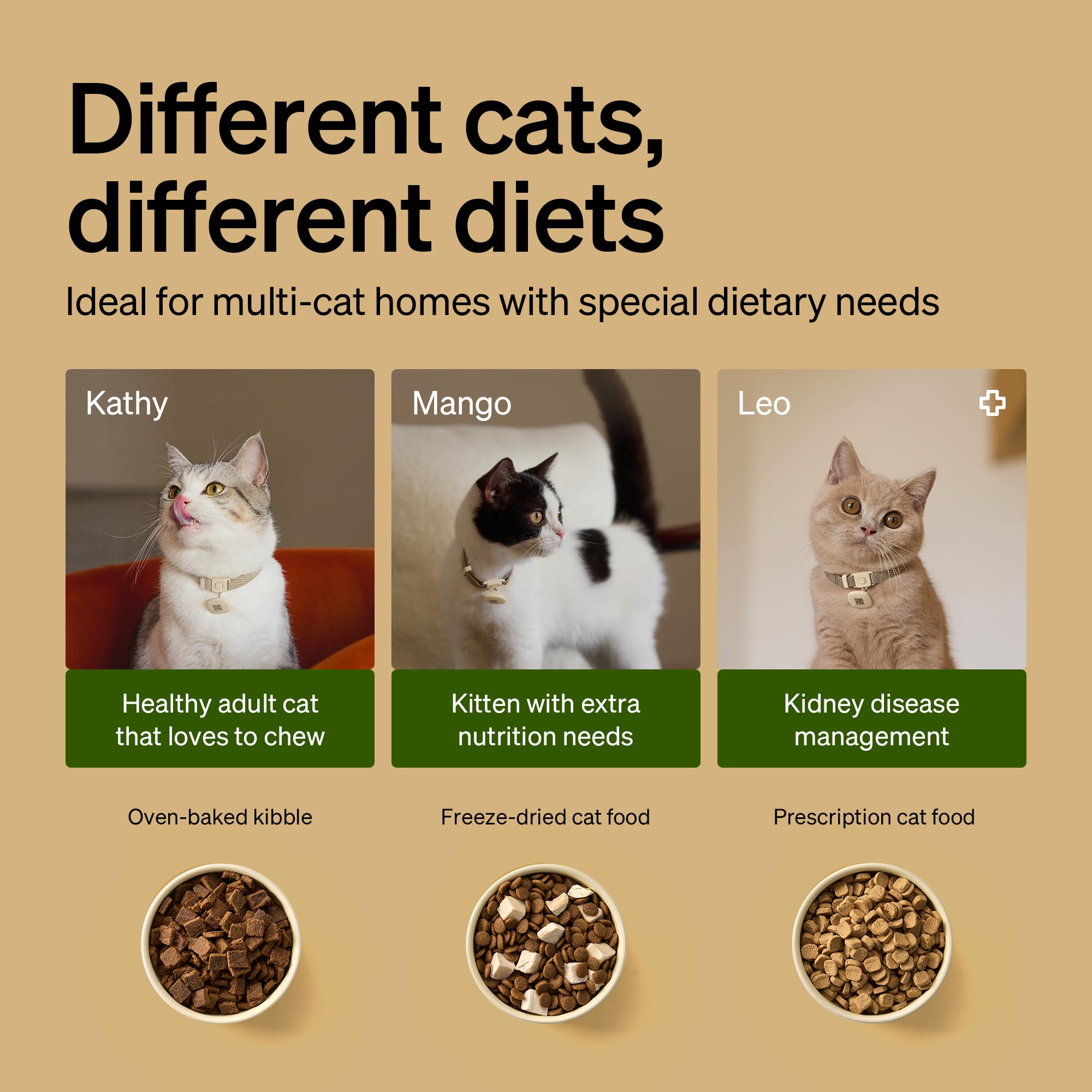 PETLIBRO RFID Automatic Cat Feeder, Collar Tag-Activated Personalized Meals