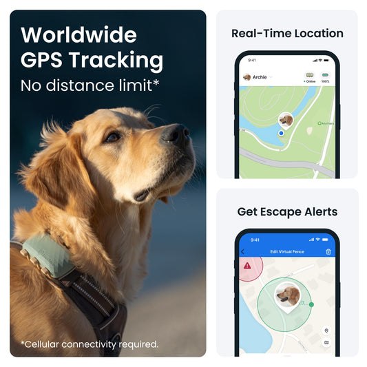 XL Smart GPS Dog Tracker with Real-Time Location and Health Alerts