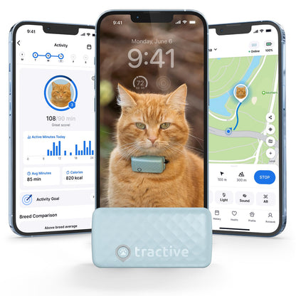 Smart Cat GPS Tracker with Real-Time Location and Wellness Monitoring