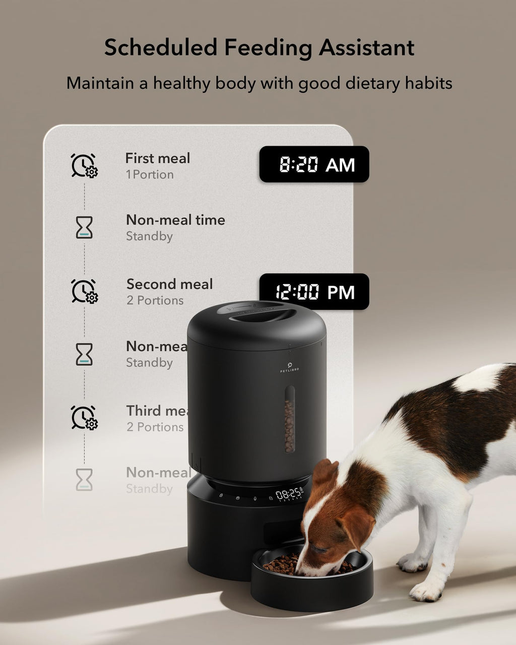 PETLIBRO Automatic cat Feeder for 2 Cats