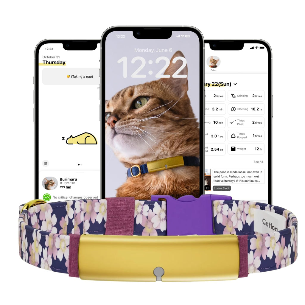 Catlog Replacement Belt