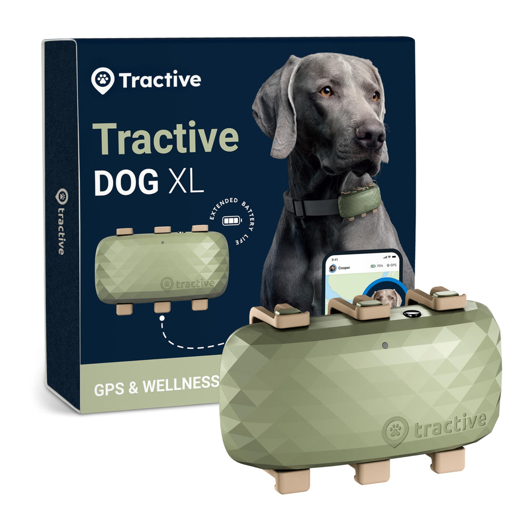 XL Smart GPS Dog Tracker with Real-Time Location and Health Alerts
