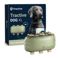 XL Smart GPS Dog Tracker with Real-Time Location and Health Alerts
