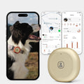 GPS Bluetooth Pet Tracker with Virtual Fence and Health Monitoring