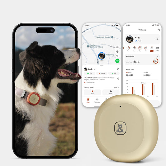 GPS Bluetooth Pet Tracker with Virtual Fence and Health Monitoring