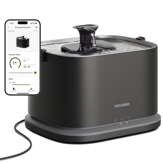 Smart Stainless Steel Pet Water Fountain with WiFi Monitoring