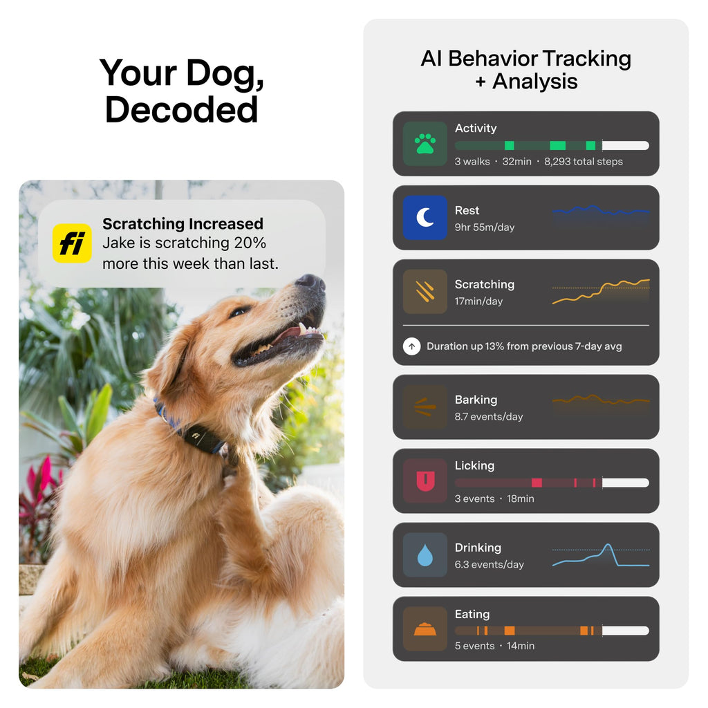 Smart GPS Dog Tracker Collar with Health and Behavior Monitoring