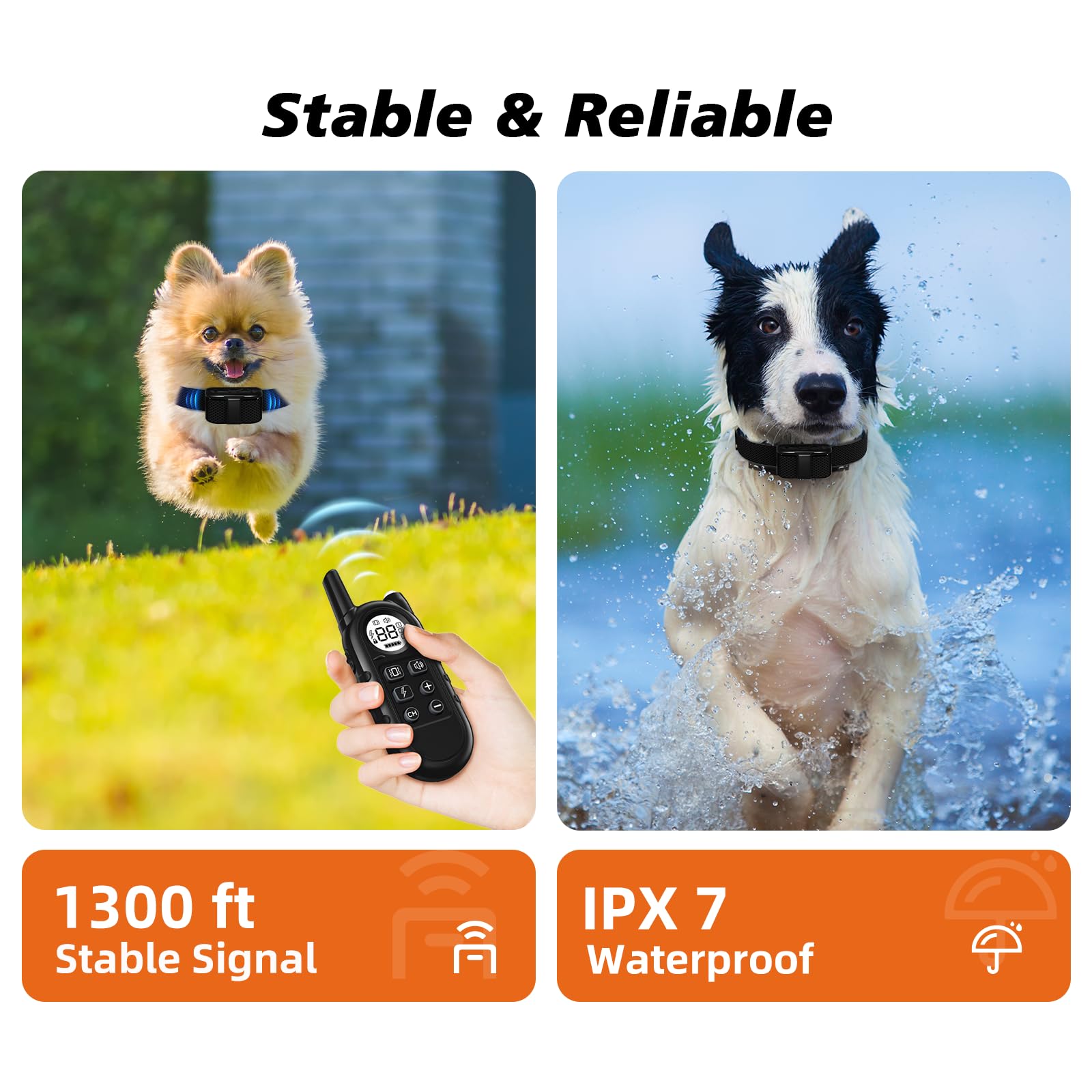 Compact Waterproof Dog Training Collar with Remote Control