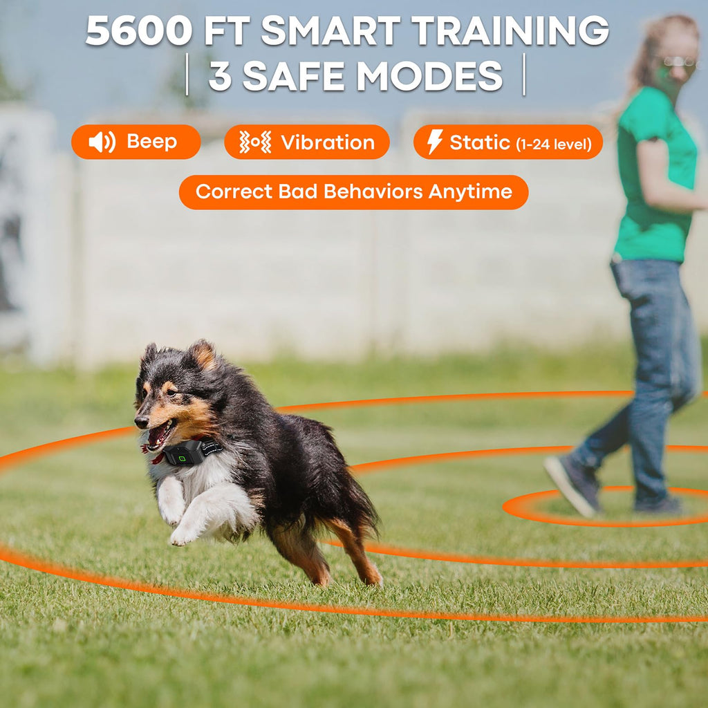 GPS Wireless Dog Fence with Remote Training Collar System