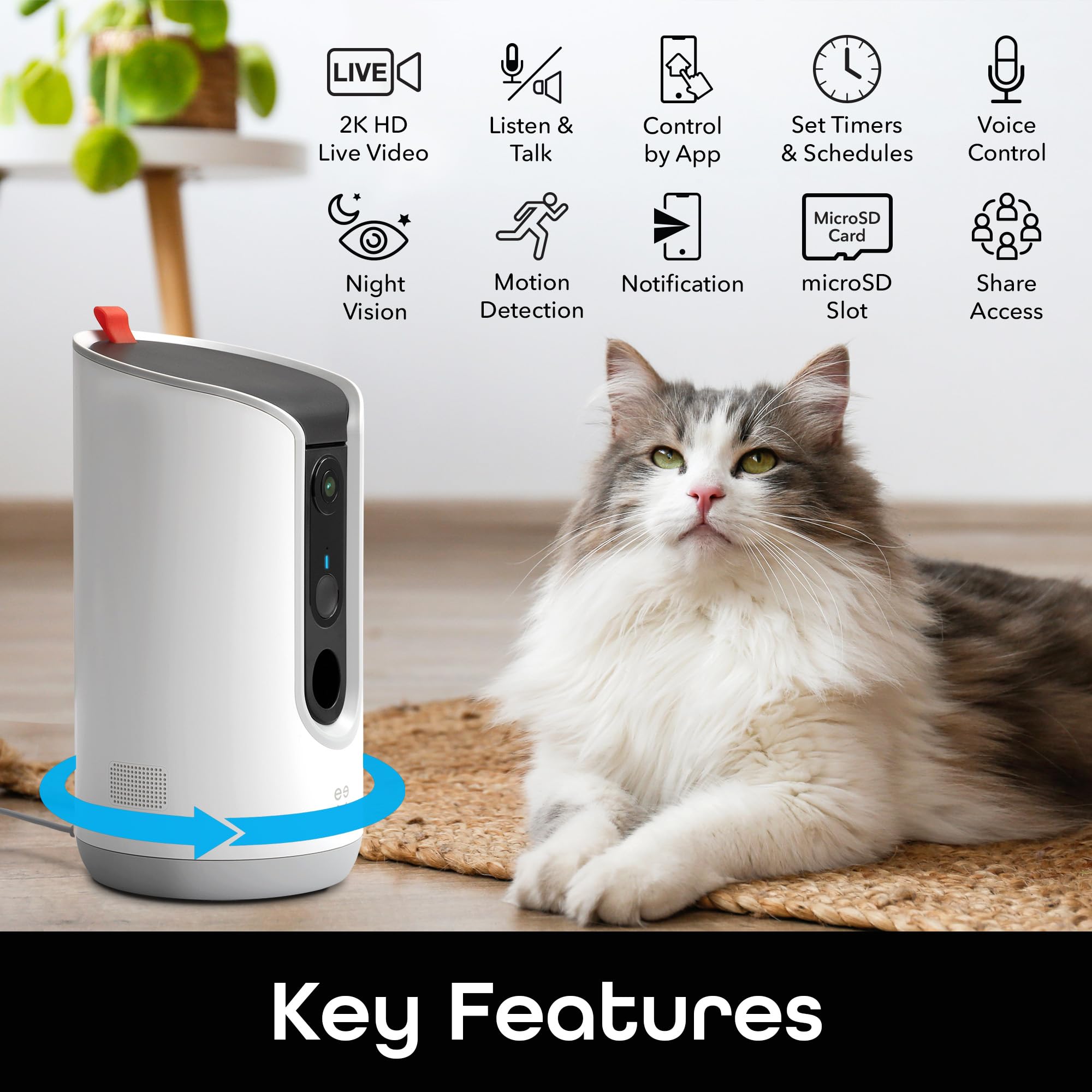 Geeni Pet Treat Dispenser with Camera