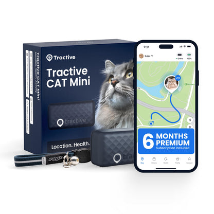 Smart Cat GPS Tracker with Real-Time Location and Wellness Monitoring