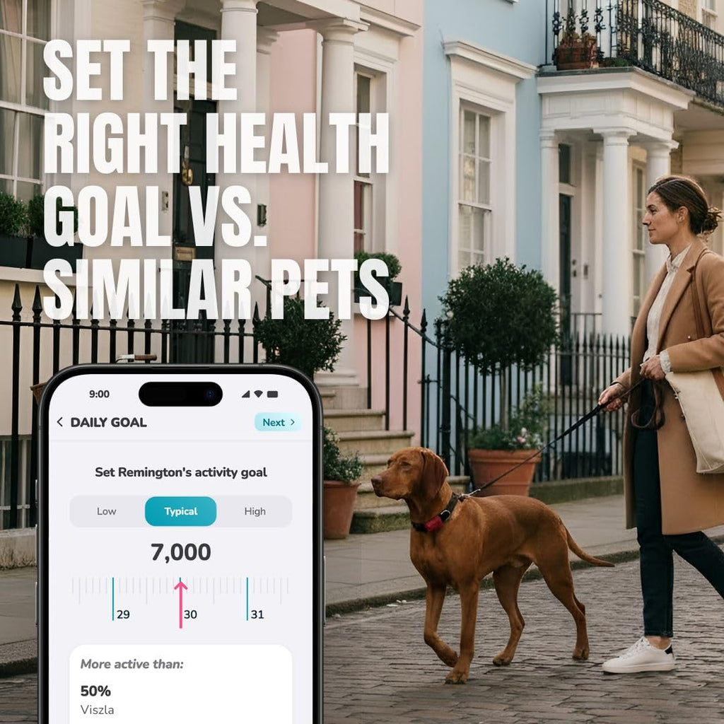 Waterproof Dog Activity Monitor with Health and Fitness Tracking