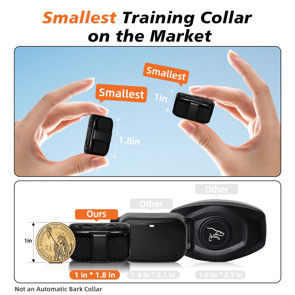 Compact Waterproof Dog Training Collar with Remote Control