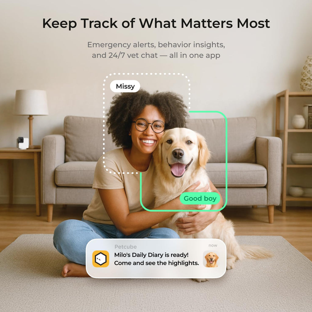 Petcube Security Camera