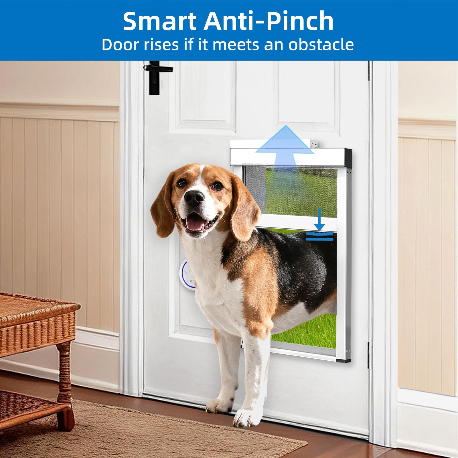 Electronic Smart Pet Door with Automatic Locking and Safety Sensors