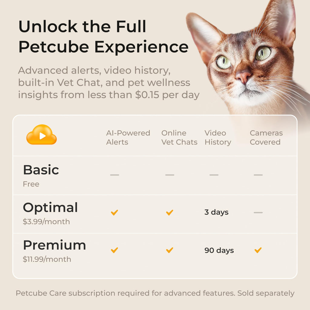 Petcube Security Camera