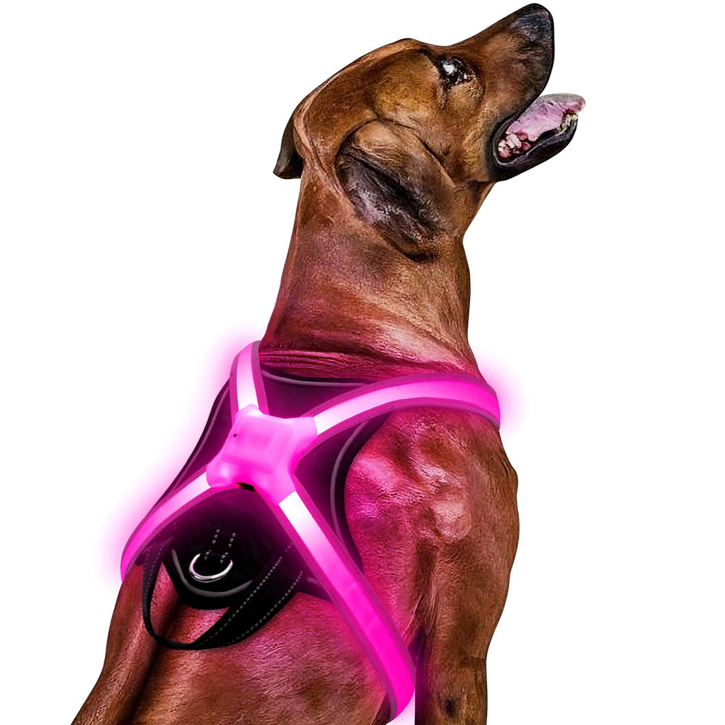Light Up Dog Harness Led Dog Harness