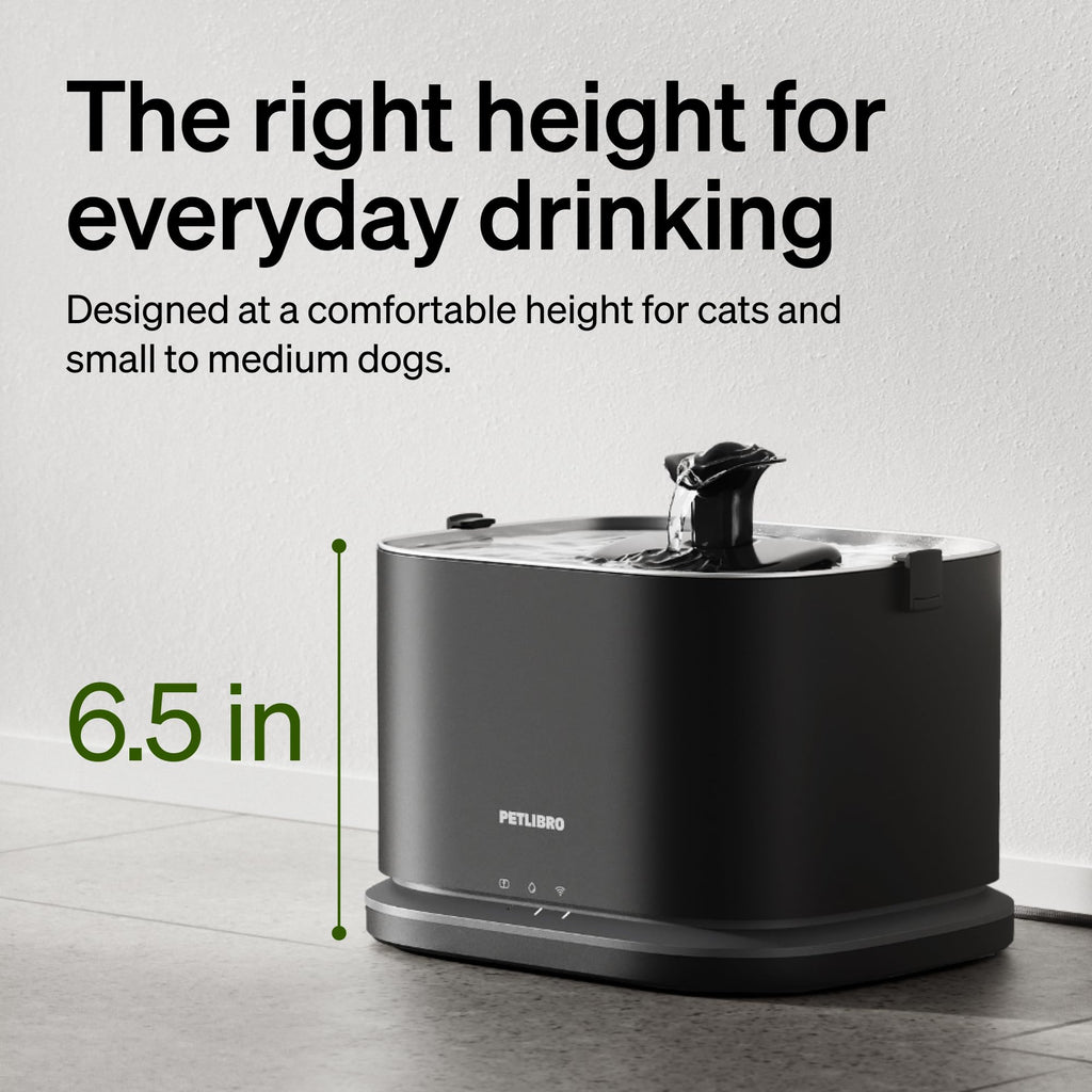 Smart Stainless Steel Pet Water Fountain with WiFi Monitoring